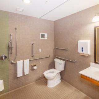 An accessible bathroom with safety features, including grab bars and a wall-mounted sink.