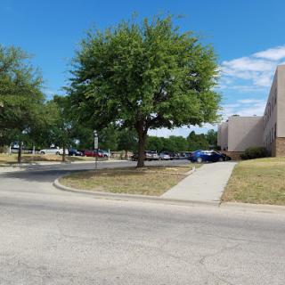 A scene featuring a tree and sidewalk next to a building, with a clear blue sky overhead.