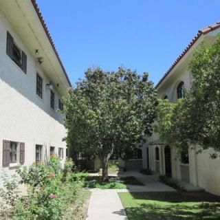 A sunny courtyard between two residential buildings with trees and a pathway.