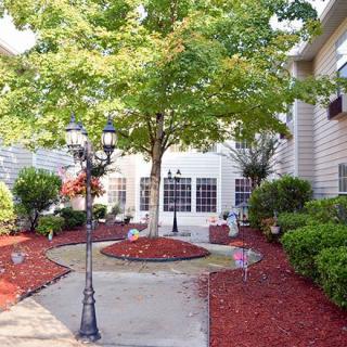 A beautifully landscaped courtyard with a tree in the center, surrounded by shrubs and a pathway.