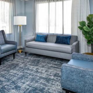 A modern living room with a gray sofa, armchairs, and a floor lamp, complemented by an area rug and house plant.