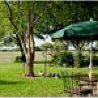 A peaceful garden scene with a table, chairs, and an umbrella under a large tree.