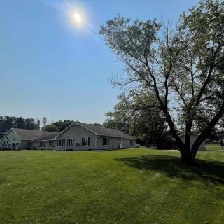 A sunny day with a clear sky over a house and a large tree in the foreground.