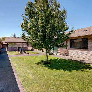 A peaceful courtyard featuring a large tree, neatly trimmed grass, and surrounding buildings on a sunny day.