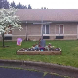 A peaceful garden area with a flowering tree and decorative stones in front of a building.