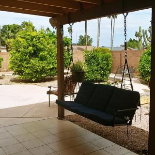 A peaceful outdoor patio with a swing seat and lush garden surroundings.