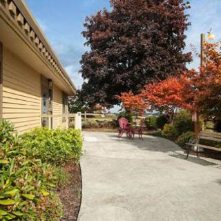 A peaceful patio area surrounded by trees with autumn foliage, featuring benches and chairs.