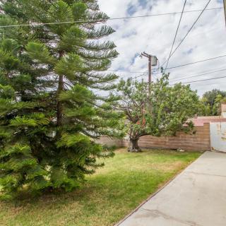A yard with a driveway, surrounded by trees and grass, featuring power lines overhead.