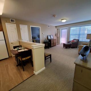 A cozy apartment interior showcasing a combined living and dining area with comfortable seating and large windows.
