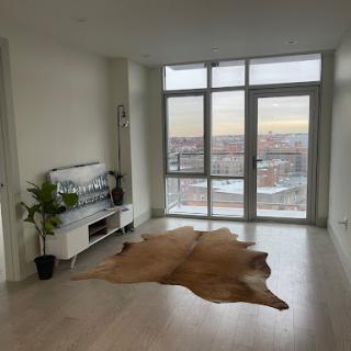 A modern living room featuring large windows with a stunning city view, adorned with a cowhide rug and a potted plant.