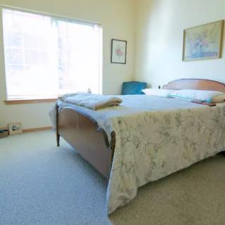 A well-lit bedroom with a large bed, soft carpet, and framed artwork on the walls.