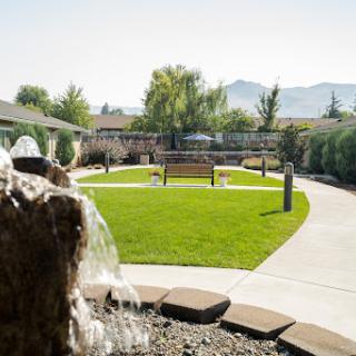 A serene garden space featuring a fountain and lush green grass, perfect for relaxation.