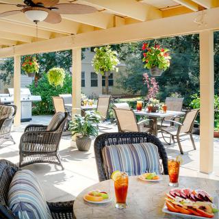 A sunny patio featuring comfortable outdoor seating, lush greenery, and refreshing iced tea.
