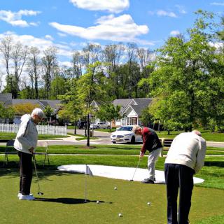 Seniors enjoying a sunny day of golf at the putting green.