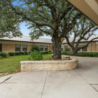 A courtyard with a large tree, surrounded by a building and greenery.