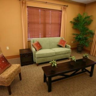A cozy living room with a green sofa, coffee table, and potted plant.