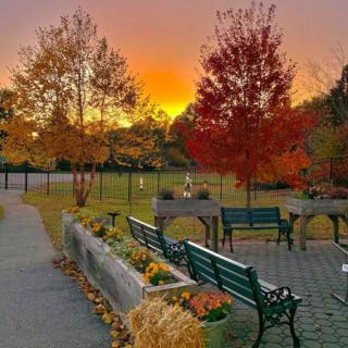 A serene park at sunset with vibrant autumn foliage and empty benches.