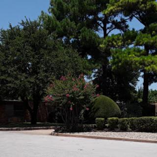 A serene outdoor scene featuring lush trees and a well-maintained landscape.