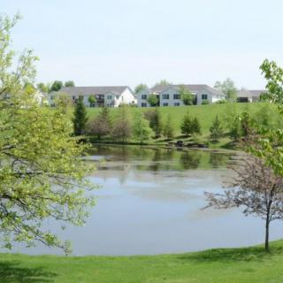 A serene view of a pond surrounded by lush greenery and suburban houses in the background.