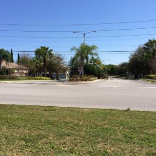 A quiet residential street intersection with palm trees and houses under a clear blue sky.