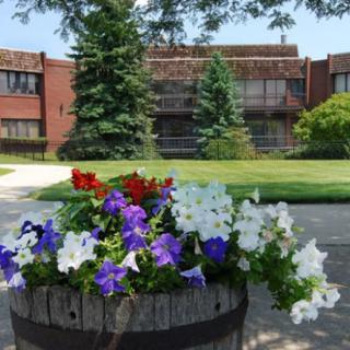 A vibrant planter filled with colorful flowers sits in front of a brick building, surrounded by greenery.