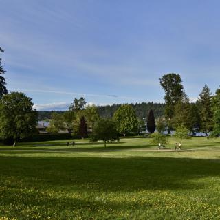 A scenic view of a park with green grass, trees, and people enjoying the outdoors under a clear blue sky.