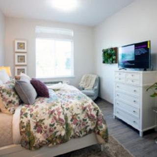 A cozy bedroom with floral bedding, a white dresser, and a television, featuring bright natural light from a window.