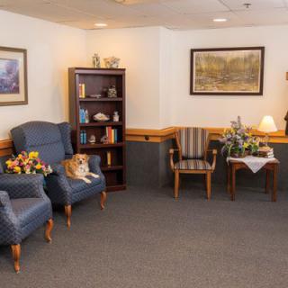 A cozy waiting room with a cat sitting on a chair and books on the shelf.