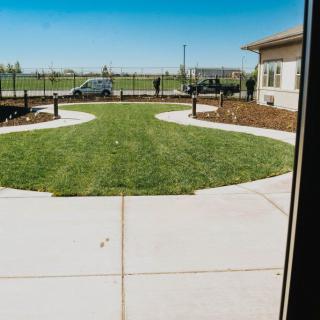 View of a lawn and driveway outside a house on a clear day.
