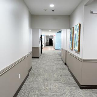 A view of a well-lit hallway featuring artwork on the walls and carpeting.