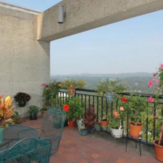 A scenic balcony with potted plants and outdoor furniture.