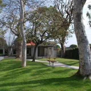 A peaceful garden scene with trees, green grass, and a bench along a pathway.