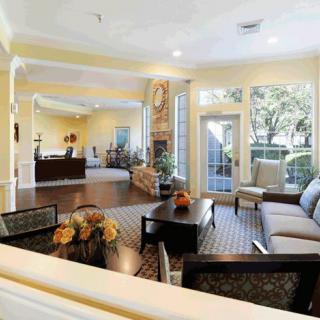 Spacious living room with elegant furniture and abundant natural light.