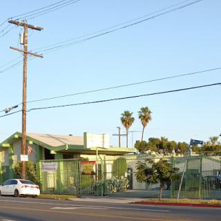 A peaceful green building surrounded by palm trees in a residential area.