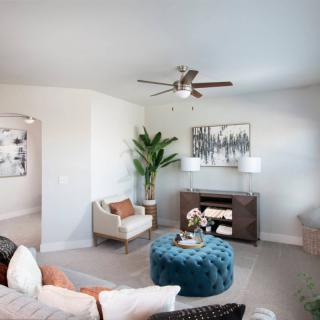 A modern living room with stylish furnishings, including a blue ottoman, ceiling fan, and decorative plant.