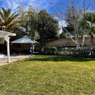 A sunny backyard with a well-maintained lawn, surrounded by trees and featuring a pergola with outdoor seating.