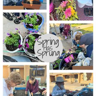 Celebrating the joy of spring through community gardening!
