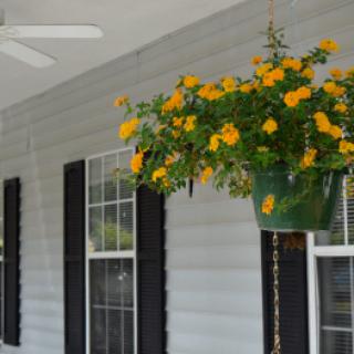 A porch with a hanging planter filled with vibrant yellow flowers.