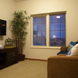 A cozy living room with a sofa, television, and indoor plant by the window.