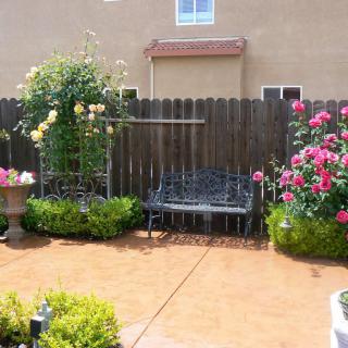 A quaint garden patio with a bench surrounded by vibrant roses and greenery.