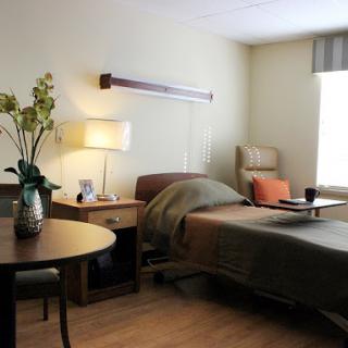 A cozy hospital room featuring a bed, side table with a lamp, and decorative plants.