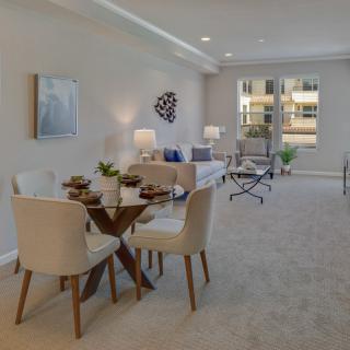 A modern living and dining area with stylish furniture and ample natural light.