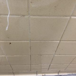 A damaged ceiling with tiles showing cracks and signs of water damage.
