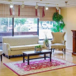 A cozy living room with a couch, chairs, and a coffee table, complemented by a patterned rug and natural lighting.