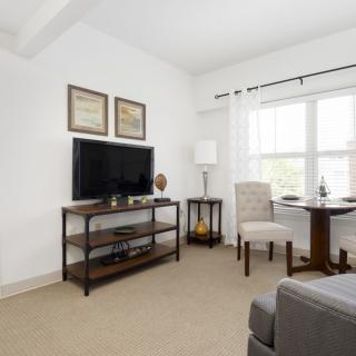 A cozy living room featuring modern decor with a television, furniture, and ample natural light.