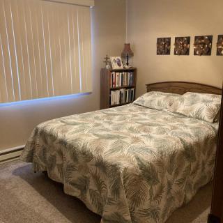 Cozy bedroom with a neatly made bed and a small bookshelf.