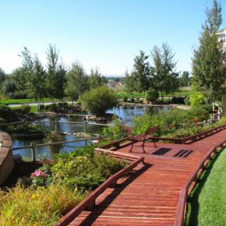 A serene walkway meanders through a lush park, bordered by a peaceful water feature.