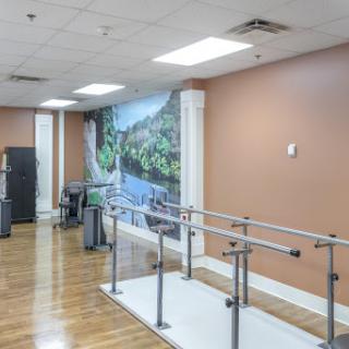 A spacious rehabilitation area featuring parallel bars for physical therapy and a scenic mural.
