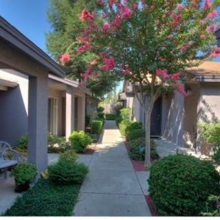 A charming courtyard with a pathway lined by bushes and flowering trees.