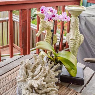 An outdoor patio decorated with a seahorse sculpture, vibrant pink orchids, and a coral-like ornament.